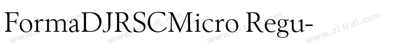 FormaDJRSCMicro Regu字体转换